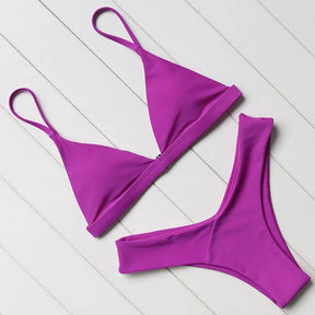 Biquíni Asa Delta Malibu Roxo / P Biquíni Asa Delta Malibu